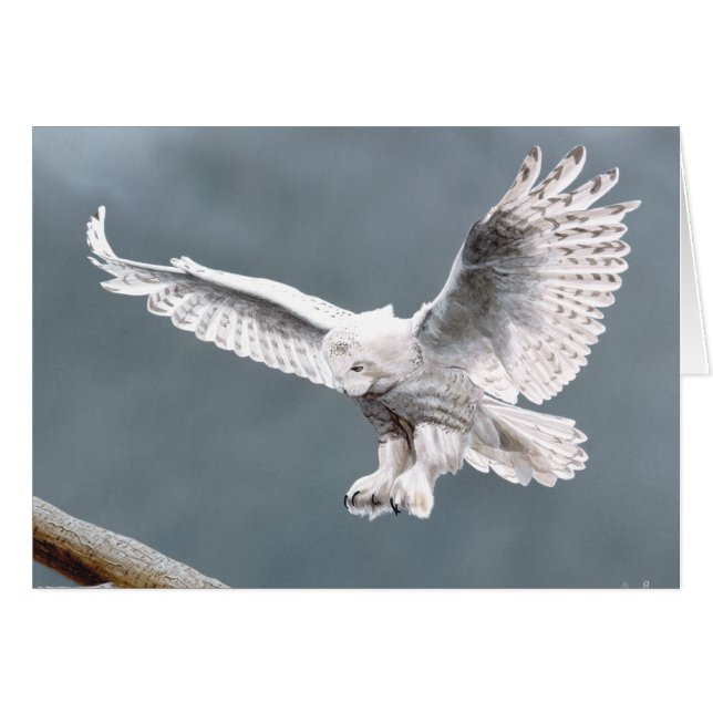 Schnee (Vorderseite (Horizontal))