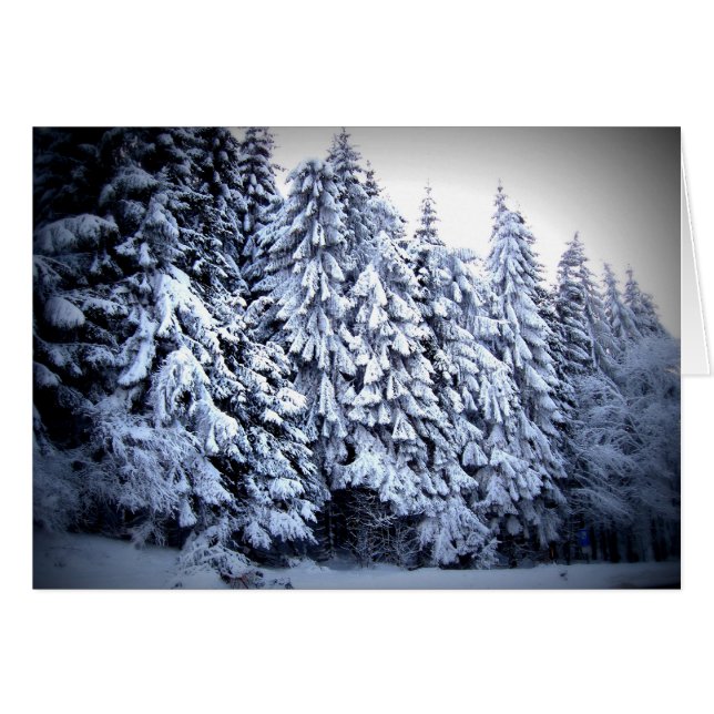 Schnee (Vorderseite (Horizontal))