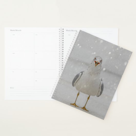 Schnee 2024 planer (Anzeige)