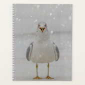Schnee 2024 planer (Vorderseite)
