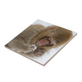 Schnee-Affe Babyjapanischer Macaque-| Fliese (Seite)