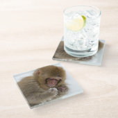 Schnee-Affe Babyjapanischer Macaque-| Glasuntersetzer (Schrägansicht)