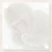 Schnee-Affe Babyjapanischer Macaque-| Glasuntersetzer (Rückseite)