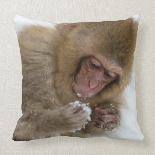Schnee-Affe Babyjapanischer Macaque- Kissen