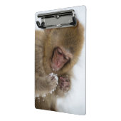 Schnee-Affe Babyjapanischer Macaque-| Mini Klemmbrett (Gewinkelt2)