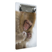 Schnee-Affe Babyjapanischer Macaque-| Mini Klemmbrett (Schrägansicht)