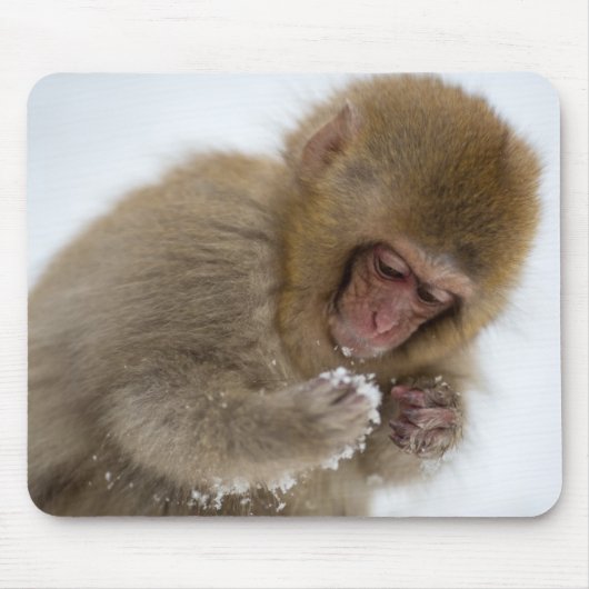 Schnee-Affe Babyjapanischer Macaque-| Mousepad (Vorne)