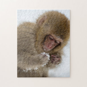 Schnee-Affe Babyjapanischer Macaque-  Puzzle