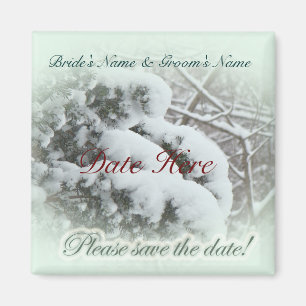 Schnee auf Arbor Vitae Hochzeit Magnet
