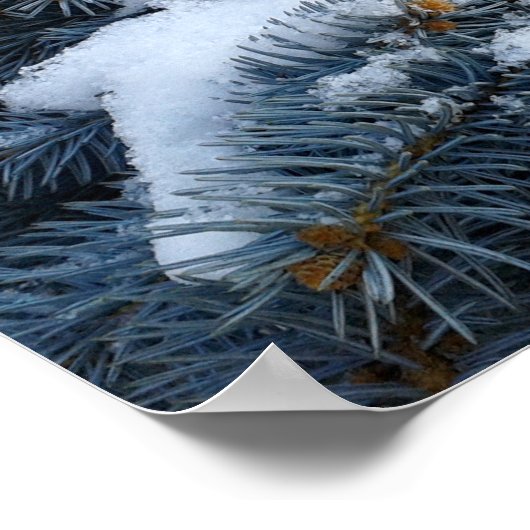 Schnee auf Ästen Poster (Ecke)