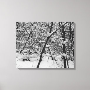 Schnee auf Baumschwarzweiss-Foto auf Leinwand