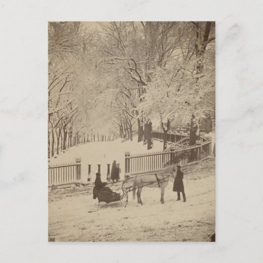 Schnee auf Boston Common Postkarte (Vorderseite)