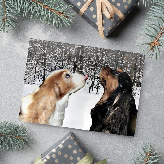 Schnee auf Cavalier King Charles Spaniel Card Feiertagskarte
