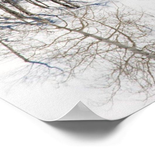 Schnee auf Dallas Divide Poster (Ecke)