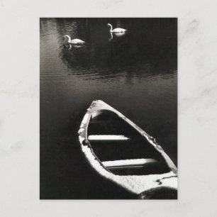 Schnee auf dem See Postkarte