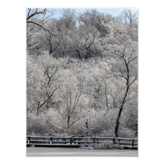Schnee auf dem Teich Fotodruck (Vorne)