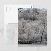 Schnee auf dem Teich Postkarte (Vorne/Hinten)