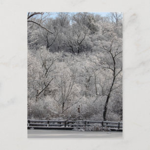Schnee auf dem Teich Postkarte
