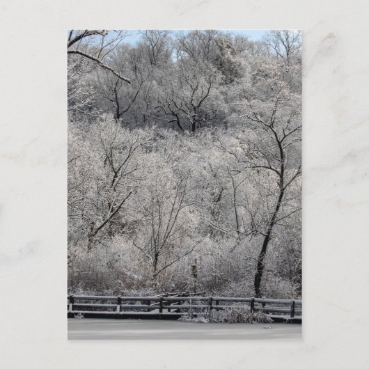 Schnee auf dem Teich Postkarte (Vorderseite)
