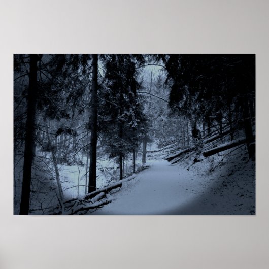 Schnee auf dem Wanderweg 3 Poster (Vorne)
