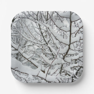SCHNEE AUF DEN BRANCHEN PAPPTELLER