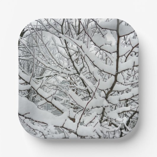 SCHNEE AUF DEN BRANCHEN PAPPTELLER (Vorderseite)