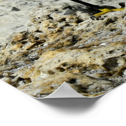 Schnee auf den Felsen Poster (Ecke)