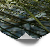 Schnee auf einem Kiefernbaum-Zweig Poster (Ecke)