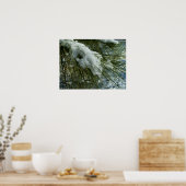 Schnee auf einem Kiefernbaum-Zweig Poster (Küche)