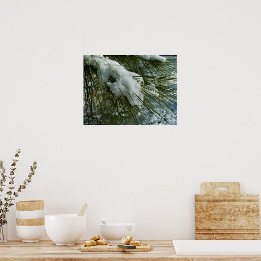 Schnee auf einem Kiefernbaum-Zweig Poster (Küche)