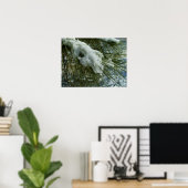 Schnee auf einem Kiefernbaum-Zweig Poster (Heimbüro)