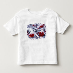 Schnee auf europäischen Berg-Ash-Berries, Utah. Kleinkind T-shirt