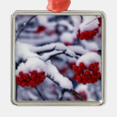 Schnee auf europäischen Berg-Ash-Berries, Utah. Ornament Aus Metall (Vorne)