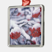 Schnee auf europäischen Berg-Ash-Berries, Utah. Ornament Aus Metall (Links)