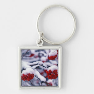 Schnee auf europäischen Berg-Ash-Berries, Utah. Schlüsselanhänger