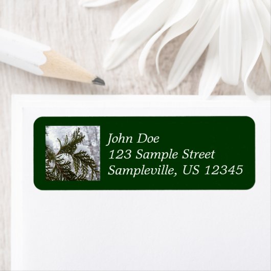 Schnee auf Evergreen Branchen (Insitu)