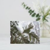 Schnee auf Evergreen Branchen (Stehend Vorderseite)