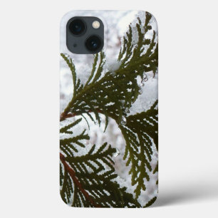 Schnee auf Evergreen Branchen Case-Mate iPhone Hülle