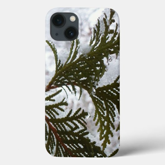 Schnee auf Evergreen Branchen Case-Mate iPhone Hülle (Rückseite)