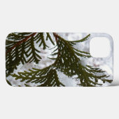 Schnee auf Evergreen Branchen Case-Mate iPhone Hülle (Rückseite (Horizontal))