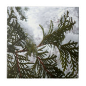 Schnee auf Evergreen Branchen Fliese (Vorderseite)