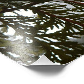 Schnee auf Evergreen Branchen Fotodruck (Ecke)