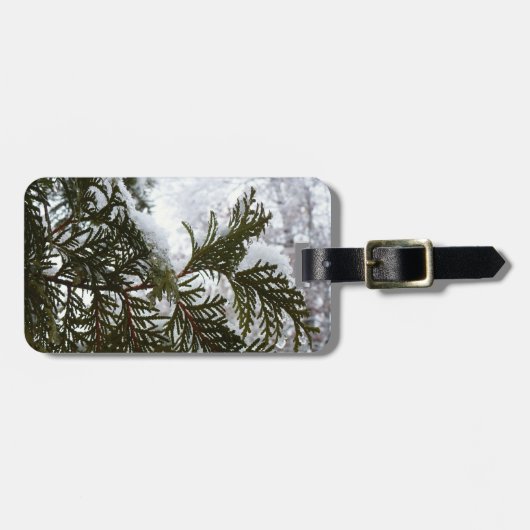 Schnee auf Evergreen Branchen Gepäckanhänger (Vorderseite horizontal)
