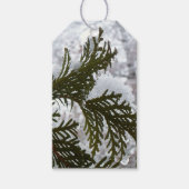 Schnee auf Evergreen Branchen Geschenkanhänger (Vorderseite)