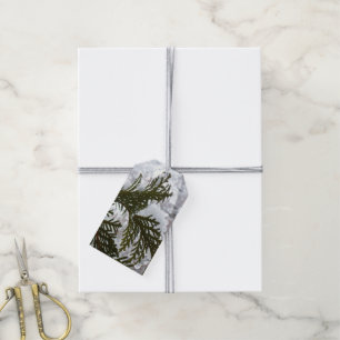 Schnee auf Evergreen Branchen Geschenkanhänger