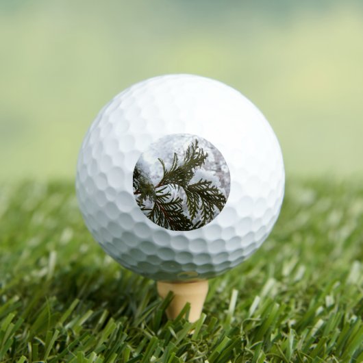 Schnee auf Evergreen Branchen Golfball (Insitu T-Shirt)