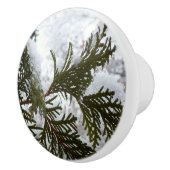 Schnee auf Evergreen Branchen Keramikknauf (Rechts)
