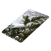 Schnee auf Evergreen Branchen Magnet (Linke Seite)