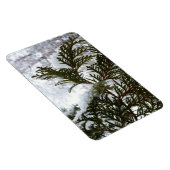 Schnee auf Evergreen Branchen Magnet (Rechte Seite)
