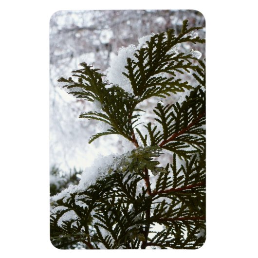 Schnee auf Evergreen Branchen Magnet (Vertikal)